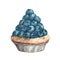 Blueberry tart isolated on white background, Hand Drawn and Painted. watercolor illustrationÂ 